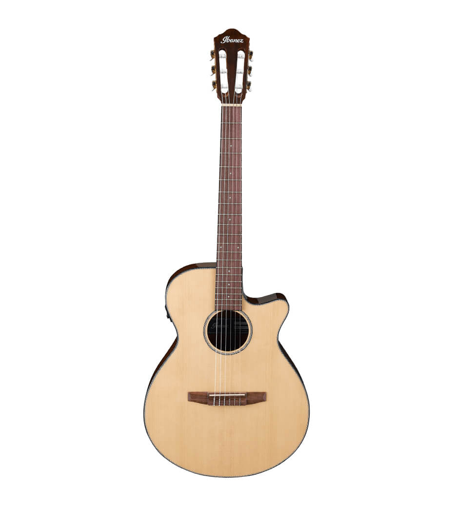 Ibanez AEG50N Nylon String Electro-Classic Guitar with Okoume Back & Sides, in Natural High Gloss Finish