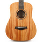 Taylor BT2 Baby Taylor Mahogany Layered Sapele Acoustic Guitar Brand: Taylor