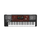 Korg Pa700 ORIENTAL 61-Key Professional Arranger Synthesizer Keyboard